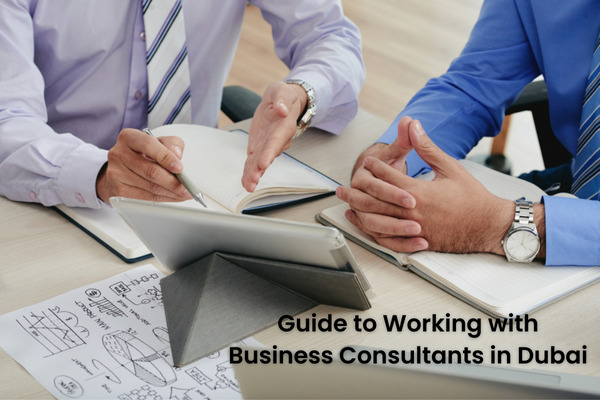 Guide to Working with Business Consultants in Dubai