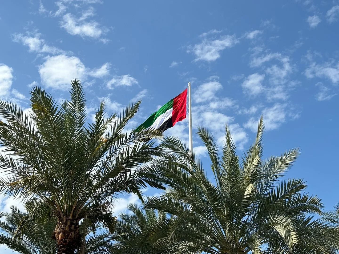VAT Return Filing in Dubai